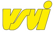 VSVI Logo